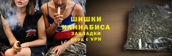 PSILOCYBIN Переславль-Залесский
