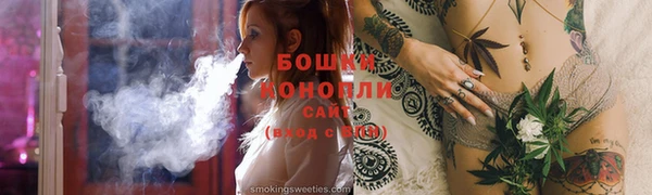 твердый Осташков