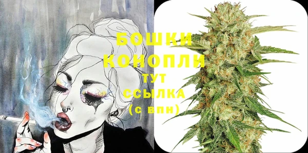 PSILOCYBIN Переславль-Залесский
