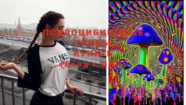 твердый Осташков