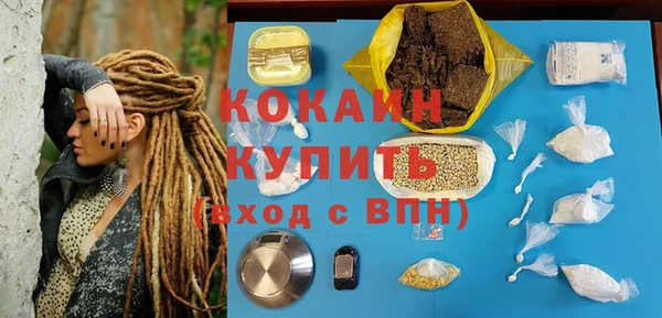 твердый Осташков