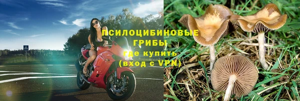 PSILOCYBIN Переславль-Залесский