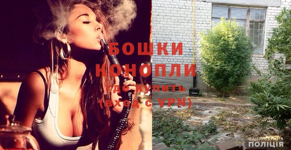 PSILOCYBIN Переславль-Залесский